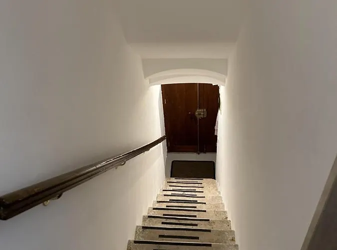 Camicia 20 모노폴리