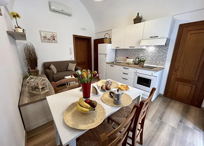 Camicia 20 アパート